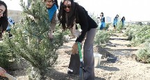 Leyla Əliyeva ağacəkmə aksiyasında iştirak etdi