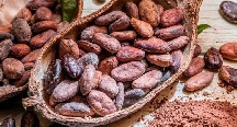 Kakao paxlasının qiyməti kəskin ucuzlaşdı - SƏBƏB