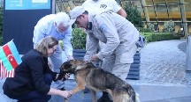 ABŞ Azərbaycana daha iki minaaxtaran it göndərib